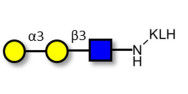 Xeno antigen type 1 / Blood...