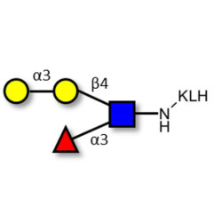Xeno lewis x / α-Gal-Lewis x  grafted on KLH