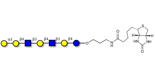 Galili antigen heptaose linked to biotin (Linker-BT B)