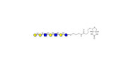 Galili antigen heptaose...