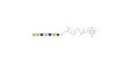 Galili antigen heptaose...