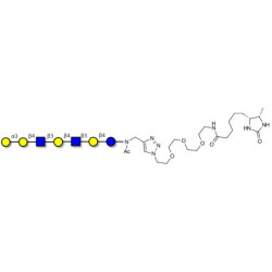 Galili antigen heptaose linked to desthiobiotin (Linker-DBT-A)