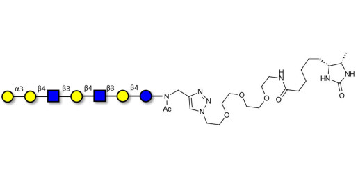 Galili antigen heptaose linked to desthiobiotin (Linker-DBT-A)