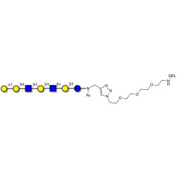 Galili antigen heptaose grafted on gel for affinity chromatography (Linker-GEL A)