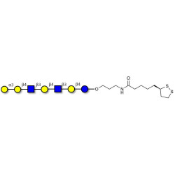 Galili antigen heptaose with cyclic di-thiol (Linker-LIPO A)