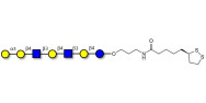 Galili antigen heptaose...