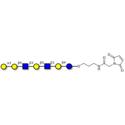 Galili antigen heptaose linked to maleimide (Linker-MAL A)