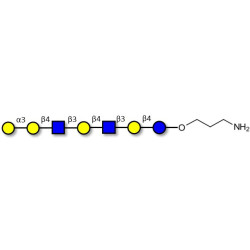 Galili antigen heptaose with free terminal amine (Linker-NH2 A)