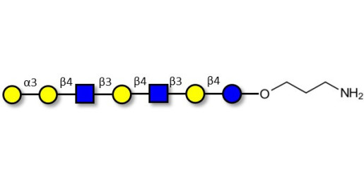 Galili antigen heptaose with free terminal amine (Linker-NH2 A)
