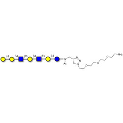 Galili antigen heptaose with free terminal amine (Linker-NH2 B)