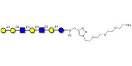 Galili antigen heptaose...
