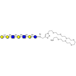 Galili antigen heptaose with free terminal amine (Linker-NH2 C)