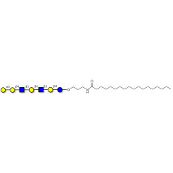 Galili antigen heptaose with stearic chain (Linker-STEA A)