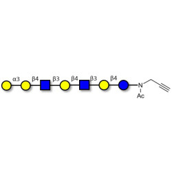 Galili antigen heptaose with terminal alkyne (Linker-CΞCH A)