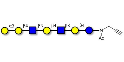 Galili antigen heptaose with terminal alkyne (Linker-CΞCH A)