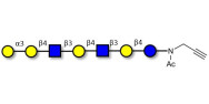 Galili antigen heptaose...