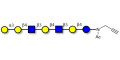 Galili antigen heptaose with terminal alkyne (Linker-CΞCH A)