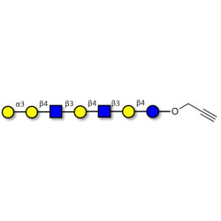 Galili antigen heptaose with terminal alkyne (Linker-CΞCH B)