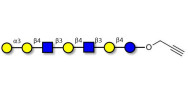 Galili antigen heptaose...