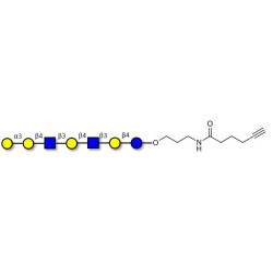Galili antigen heptaose with terminal alkyne (Linker-CΞCH C)