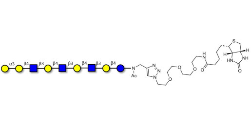 Galili antigen nonaose linked to biotin (Linker-BT A)