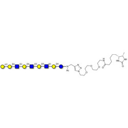 Galili antigen nonaose linked to desthiobiotin (Linker-DBT-A)