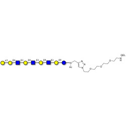 Galili antigen nonaose grafted on gel for affinity chromatography (Linker-GEL A)