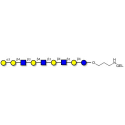 Galili antigen nonaose grafted on gel for affinity chromatography (Linker-GEL B)