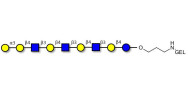 Galili antigen nonaose...