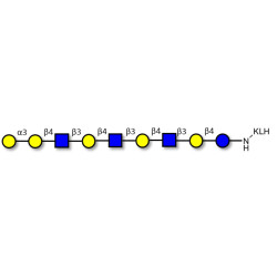 Galili antigen nonaose grafted on KLH