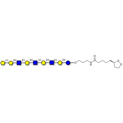 Galili antigen nonaose with cyclic di-thiol (Linker-LIPO A)