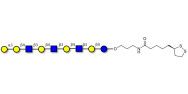 Galili antigen nonaose with...