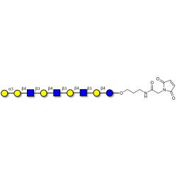 Galili antigen nonaose linked to maleimide (Linker-MAL A)