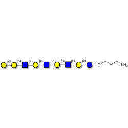 Galili antigen nonaose with free terminal amine (Linker-NH2 A)