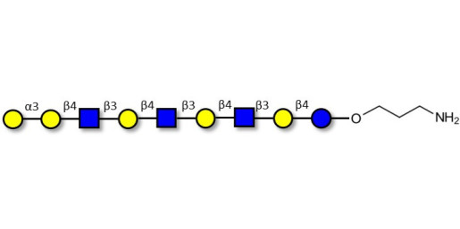 Galili antigen nonaose with free terminal amine (Linker-NH2 A)