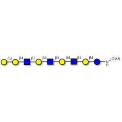 Galili antigen nonaose grafted on OVA