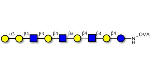 Galili antigen nonaose grafted on OVA