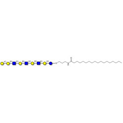 Galili antigen nonaose with stearic chain (Linker-STEA A)