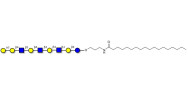 Galili antigen nonaose with...