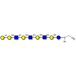Galili antigen nonaose with terminal alkyne (Linker-CΞCH A)