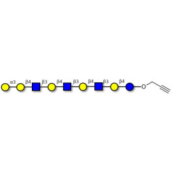 Galili antigen nonaose with terminal alkyne (Linker-CΞCH B)