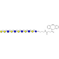 Galili antigen undecaose with DBCO (Linker-DBCO A)