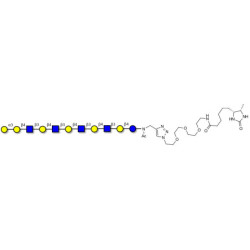 Galili antigen undecaose linked to desthiobiotin (Linker-DBT-A)
