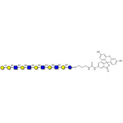 Galili antigen undecaose linked to fluorescein (Linker-FLUO A)