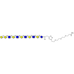 Galili antigen undecaose grafted on gel for affinity chromatography (Linker-GEL A)