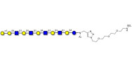 Galili antigen undecaose...