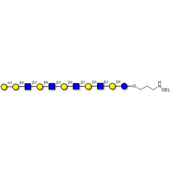 Galili antigen undecaose grafted on gel for affinity chromatography (Linker-GEL B)
