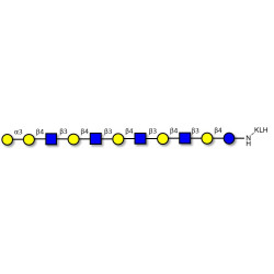 Galili antigen undecaose grafted on KLH