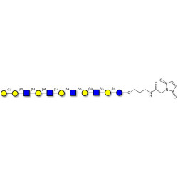 Galili antigen undecaose linked to maleimide (Linker-MAL A)