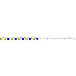Galili antigen undecaose with terminal azide (Linker-N3 A)